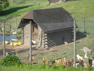 dscf0331.jpg