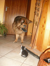 dscf0951.jpg